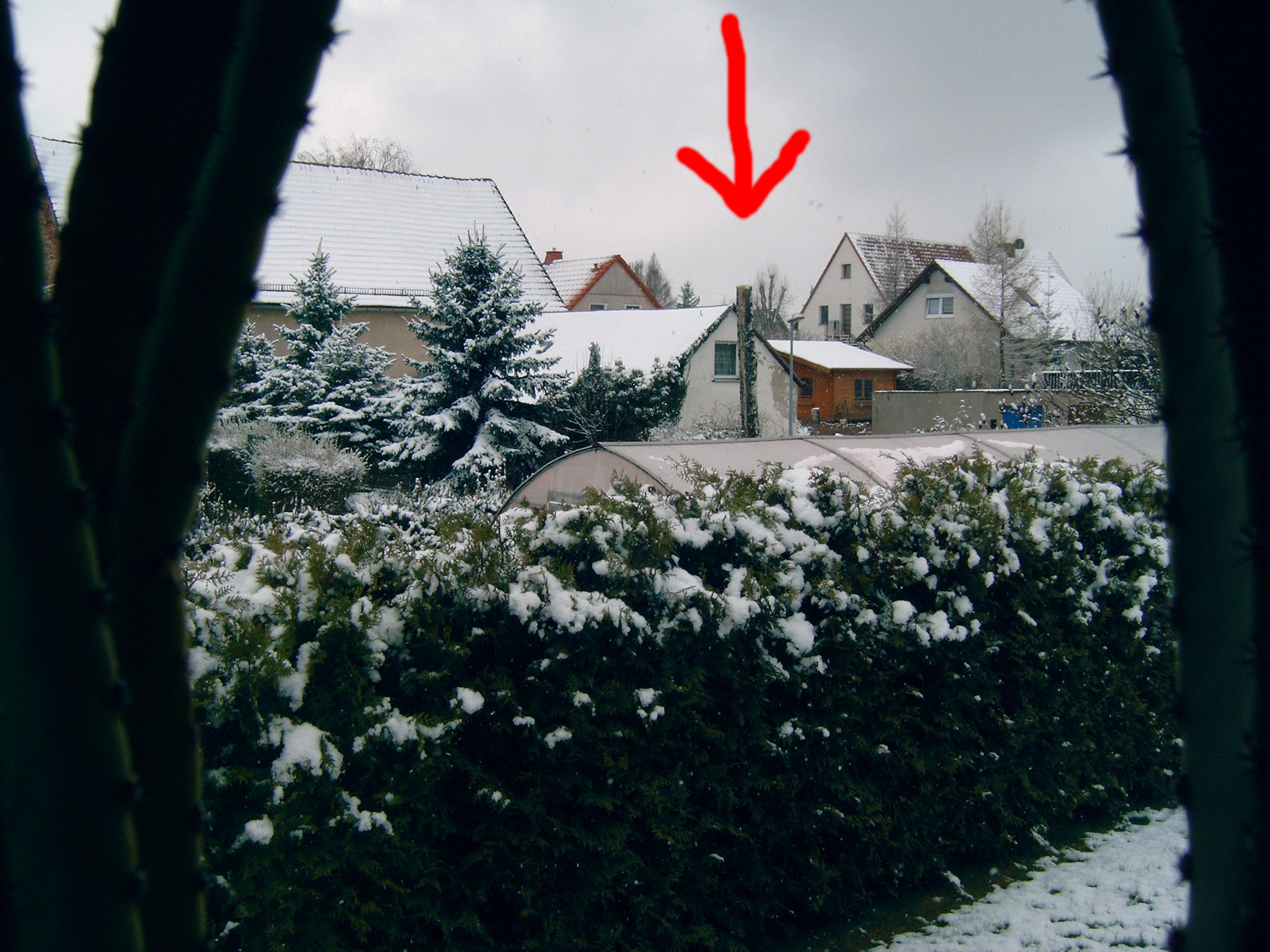 ex St�renfried